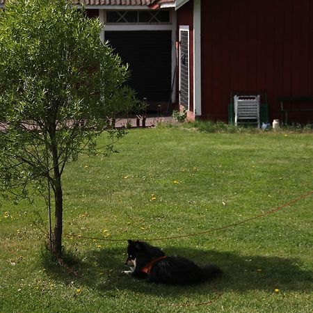 Mora Vandrarhem Och Gaesthem Vinäs Dış mekan fotoğraf