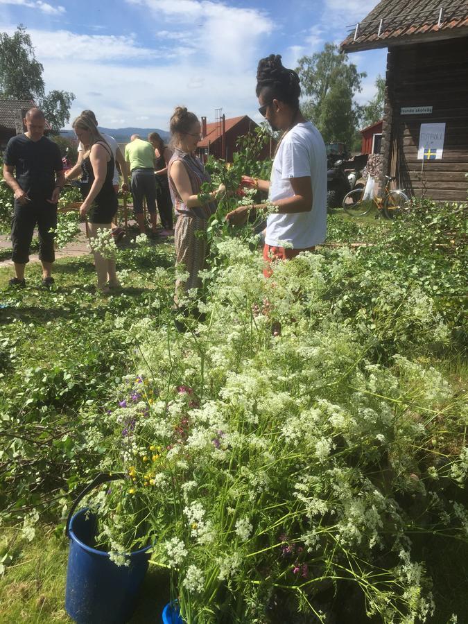 Mora Vandrarhem Och Gaesthem Vinäs Dış mekan fotoğraf